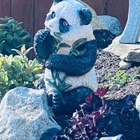 Design Toscano Tian Shan Asian Panda Statue & Reviews | Wayfair